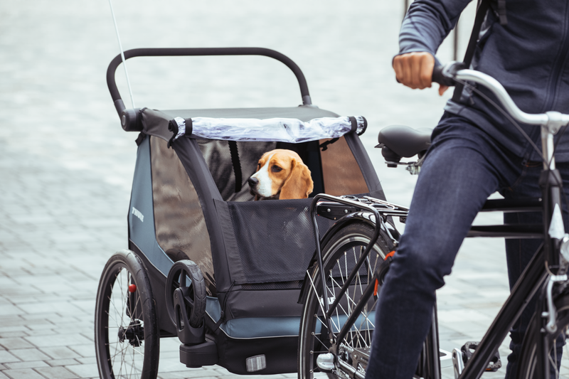 Thule Courier Dog Trailer