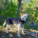 PAIKKA Recovery vinterdragt