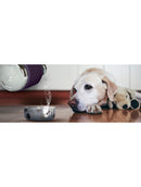 ASOBU Rustfristål vandflaske