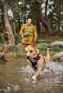 Hurtta Weekend Warrior II ECO Harness