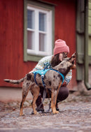 Hurtta Safeguard ECO hundesele