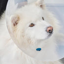 CalmDown by KRUUSE® Post-Op Knap Kat