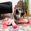 Kong Shakers Crumples  Xl