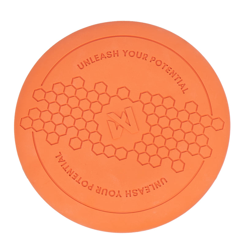 Non-Stop Flying Disc