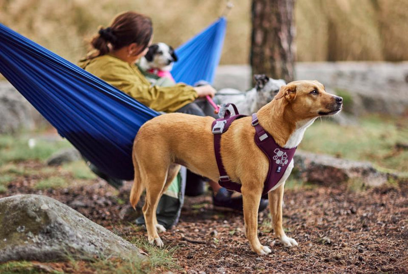 Hurtta Weekend Warrior II ECO Harness