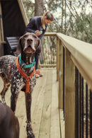 Hurtta ECO Casuel Y-harness