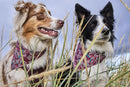 Hurtta Zhero Dog Safety Bandana ECO