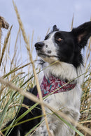 Hurtta Zhero Dog Safety Bandana ECO