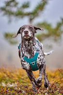 Hurtta Rover harness