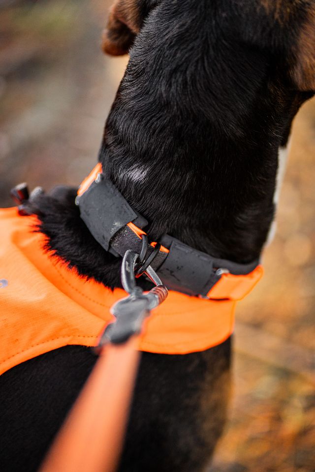 Non-Stop Protector collar