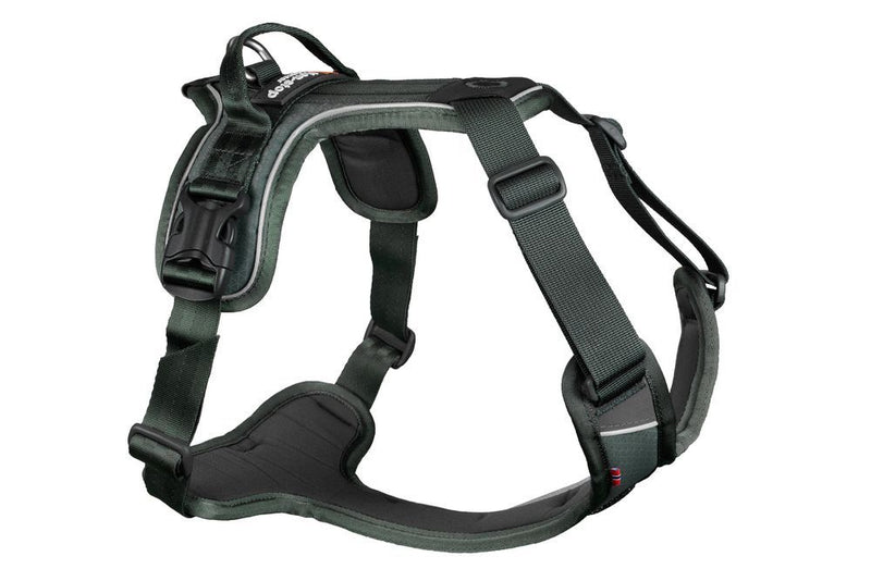 Non-Stop Ramble Harness