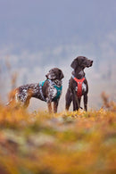 Hurtta Rover harness