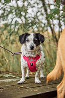 Hurtta Weekend Warrior II ECO Harness