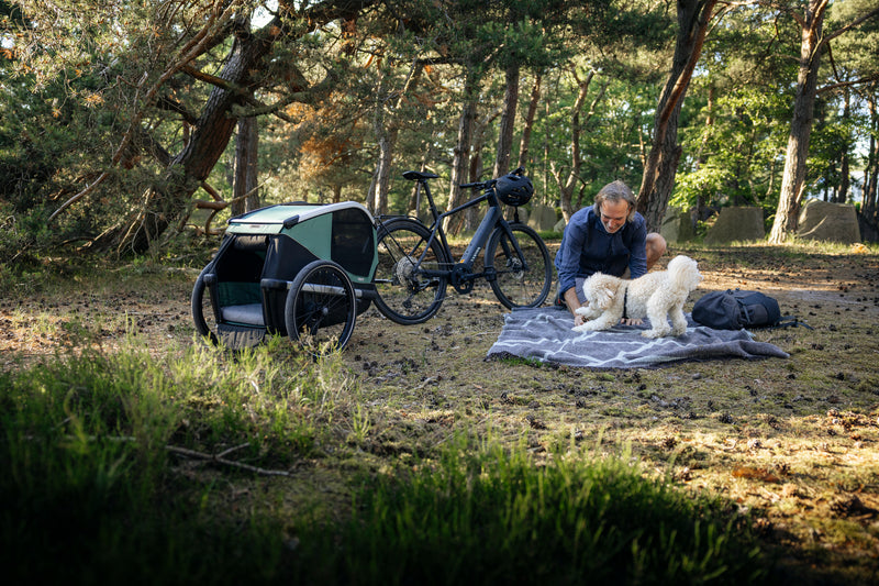 Thule Bexey Strolling Kit