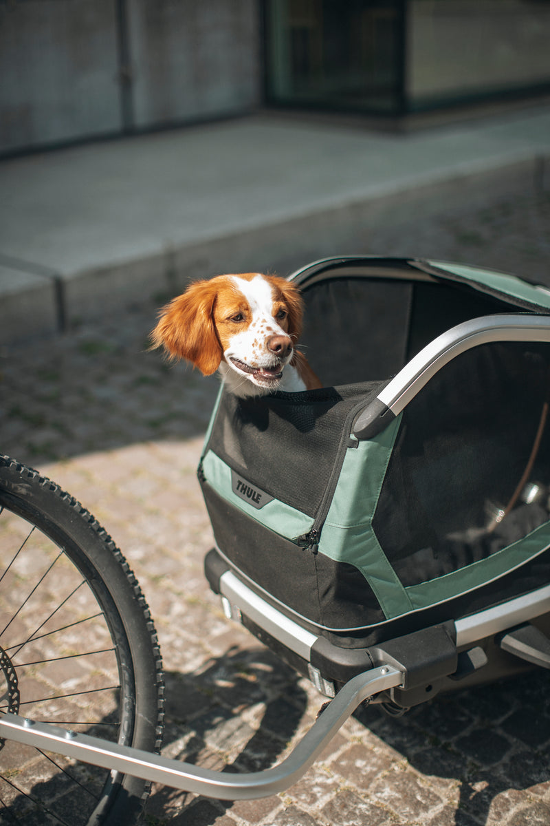 Thule Bexey Strolling Kit