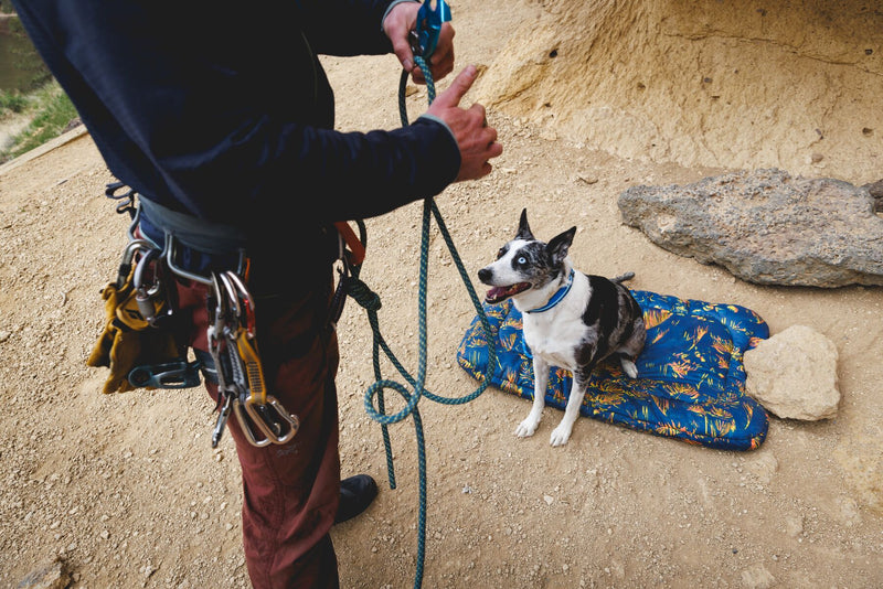 Ruffwear Basecamp Dog Bed