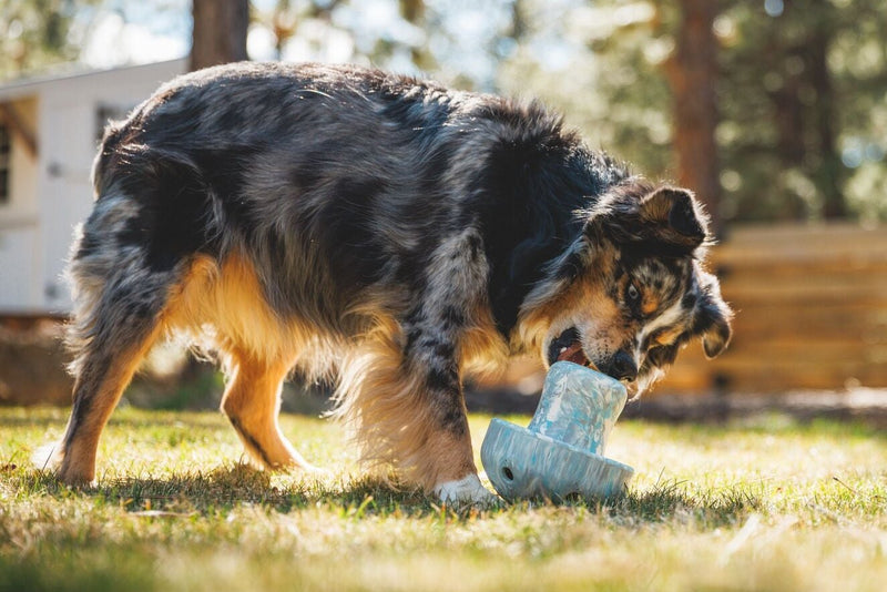 Ruffwear Porcini Rubber Dog Toy