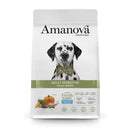 Amanova Adult hund digestive Divine kanin 10 kg