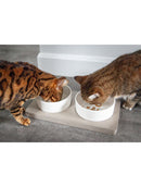 BoB Keramik skåle på betonbund