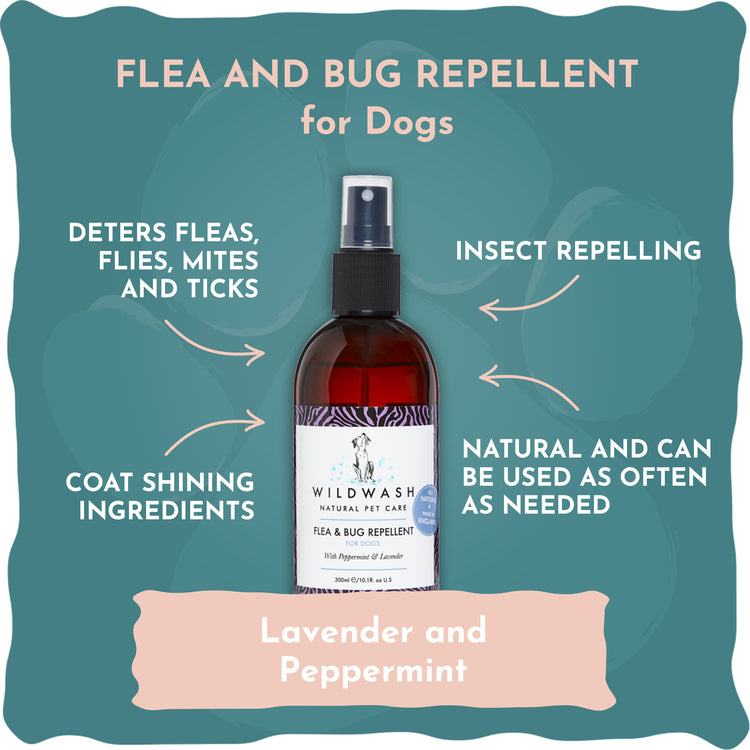 WildWash Spray Flea & Bug repellent 300 ml