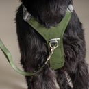 Hurtta Rover harness