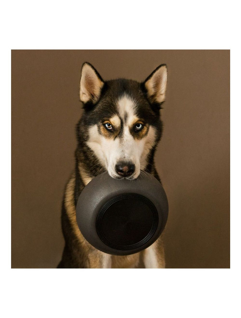 District70 BAMBOO Dog Bowl - Dark Grey