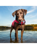 KURGO Redningsvest SURF'N'TURF