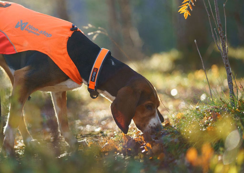 Non-Stop Protector collar