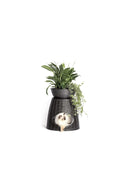 Katteseng - multifunktion Pasha