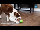 Ricochet Electronic Dog Toy