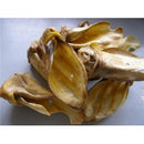 Okseører med øregang. 5 stk