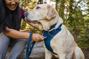 Ruffwear Sele Front Range Harness