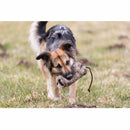 Trixie Dummy med kunstpels