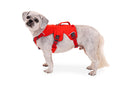 Ruffwear Sele WebMaster