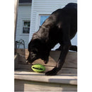 Jolly Pets Monster Mouth