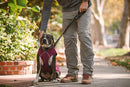 Ruffwear Stumptown Jacket