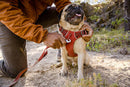Ruffwear Sele Front Range Harness