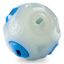 Planet Dog - Orbee- Tuff Whistle Ball
