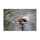 Chuckit Amphibious Bumper