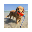 Chuckit Amphibious Bumper