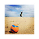 Chuckit Ultra Ball