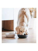 District70 BAMBOO Dog Bowl - Dark Grey