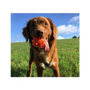 Chuckit Breathe Right Fetch Ball