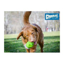 ChuckIt Erratic Ball