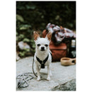 Hurtta Casual Y-Sele