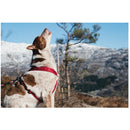 Hurtta Casual Y-Sele