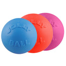 Jolly Pets Bounce-n-Play™