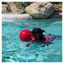 Jolly Pets Tug-n-Toss™