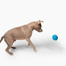 Jolly Pets Dipper Ball