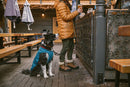Ruffwear Stumptown Jacket